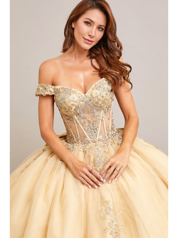 Vestido de Gala (LL2031) - Champagne