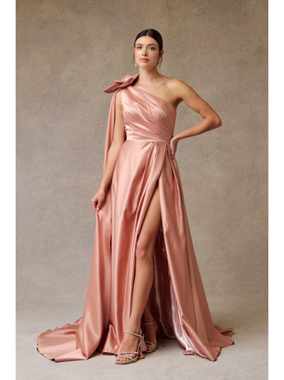 Vestido de Gala (MF2476) - Rose