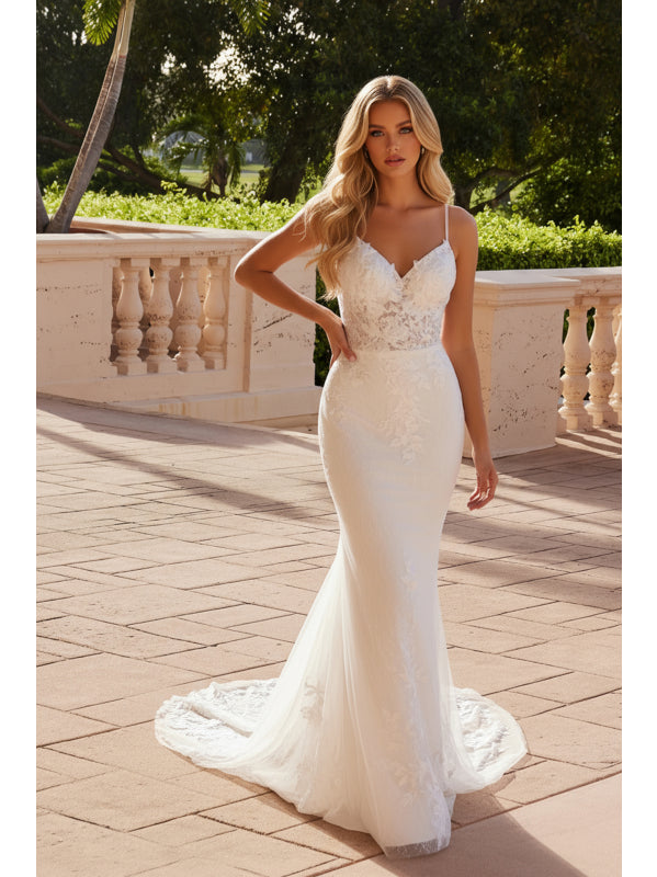 Vestido de Novia (JW239) - imagen 4